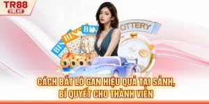 Cách Bắt Lô Gan Hiệu Quả Tại Sảnh, Bí Quyết Cho Thành Viên