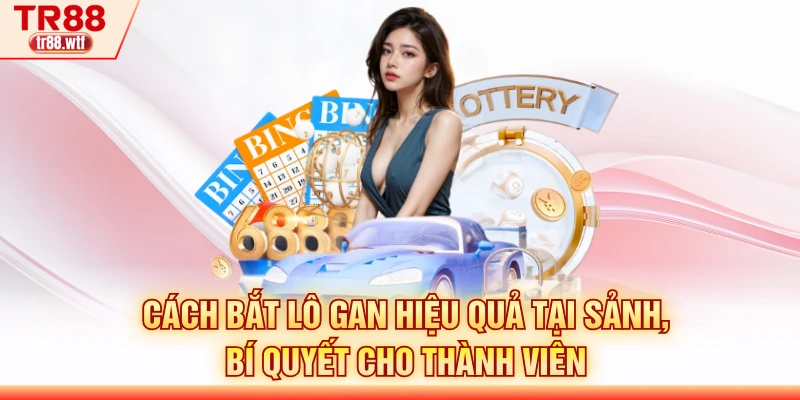 Cách Bắt Lô Gan Hiệu Quả Tại Sảnh, Bí Quyết Cho Thành Viên