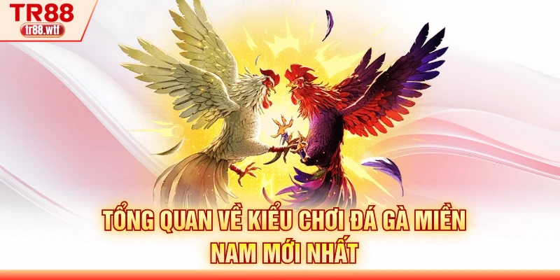 Tổng quan về kiểu chơi đá gà miền Nam mới nhất
